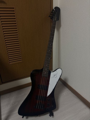 Epiphone thunderbird base soft - thunderbird,
