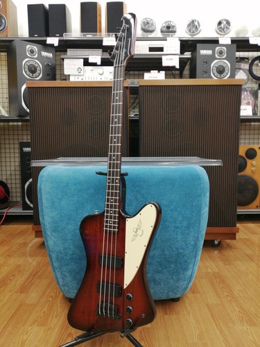 Epiphone thunder bird - bird, iv